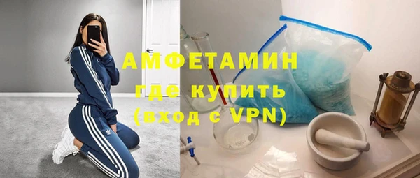 индика Балабаново