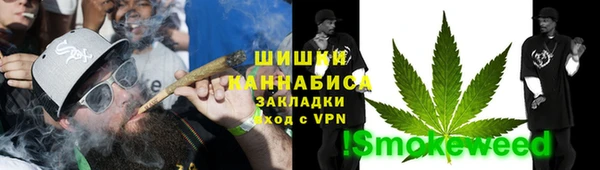 индика Балабаново