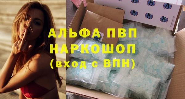 индика Балабаново