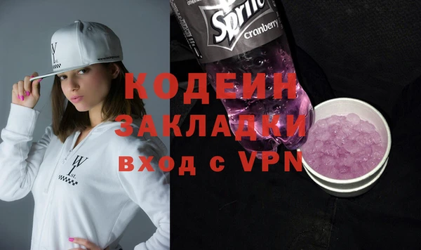 индика Балабаново