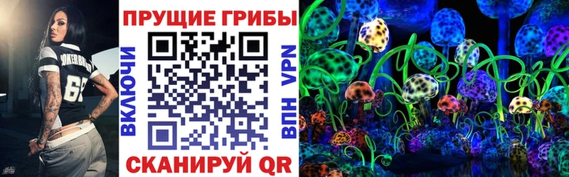 что такое наркотик Петухово Псилоцибиновые грибы Psilocybine cubensis